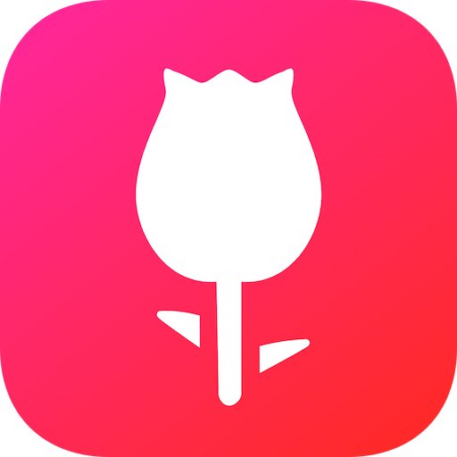 The best live scored Bachelor Fantasy League | Now Live for Bachelor 2024