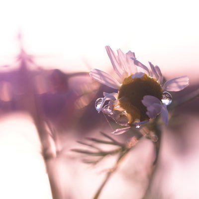 beIKBHCOuOuYynP's profile picture. 