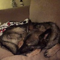John Keegan (@j_keegan) 's Twitter Profile