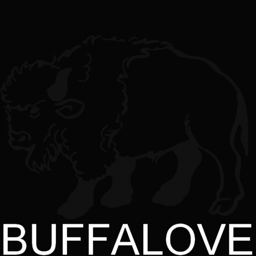 BUFFALOVE is a almost-reality tv show or webshow about 5 teens who learn to grow, love, and live together with some major drama!