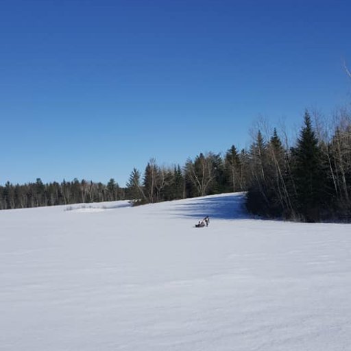 We are a modern homesteading family in Northern New Brunswick, Canada learning to farm as we go.