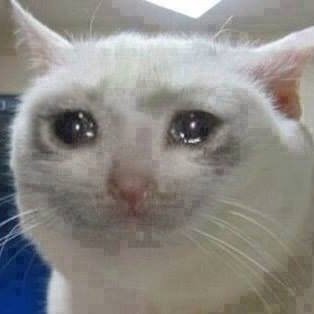 vertigxx's profile picture. 