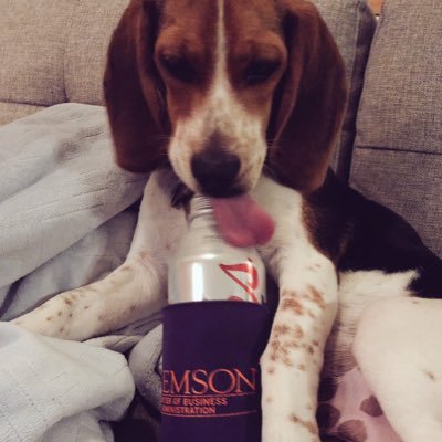 lifeofaclemson1's profile picture. Just a wife forever living my husband’s Clemson life. A synopsis of listening to an obsessed man. #gotigers 🐯