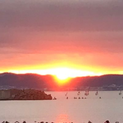 djjWqrEt2CoFsso's profile picture. R3中小企業診断士挑戦4年目にて合格❗️2022年10月登録‼️ITストラテジスト、情報処理安全確保支援士合格📗目指せ、IT系診断士💪普段は2匹のネコに囲まれてます🐱🐱柿ピー好き🍘