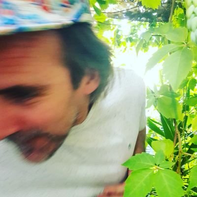 timguy_'s profile picture. musician