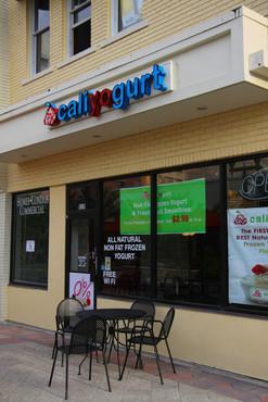 The First and Best Non-Fat Frozen Yogurt & Smoothies in Florida!