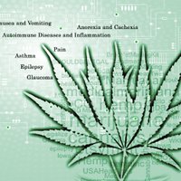 MRX (@researchmrx) 's Twitter Profile Photo