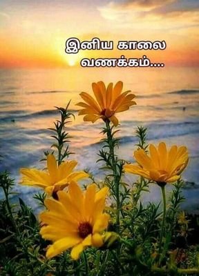 Ramanat38711229's profile picture. Neyveli