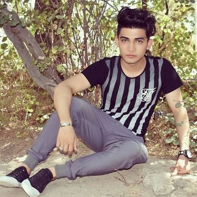 poya_hashemi's profile picture. 