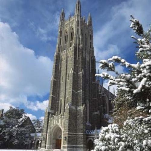 RayRui_Xu's profile picture. 