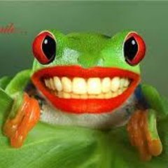 ChrisRo52737240's profile picture. DOGE! MAGA! 
Hunt that government waste!
President Donald J. Trump and Elon Musk are the G O A T!