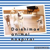 大師前どうぶつ病院 (@6pikuuotuniu9w6) 's Twitter Profile Photo