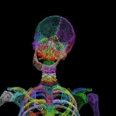 Public Health + Mammography + BME Health + Radiography + #SoMeHealth + @WOMMeN3 team