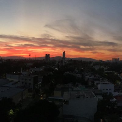 beloroz's profile picture. 