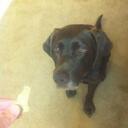 Dave Lowery - @cameltowe - Twitter