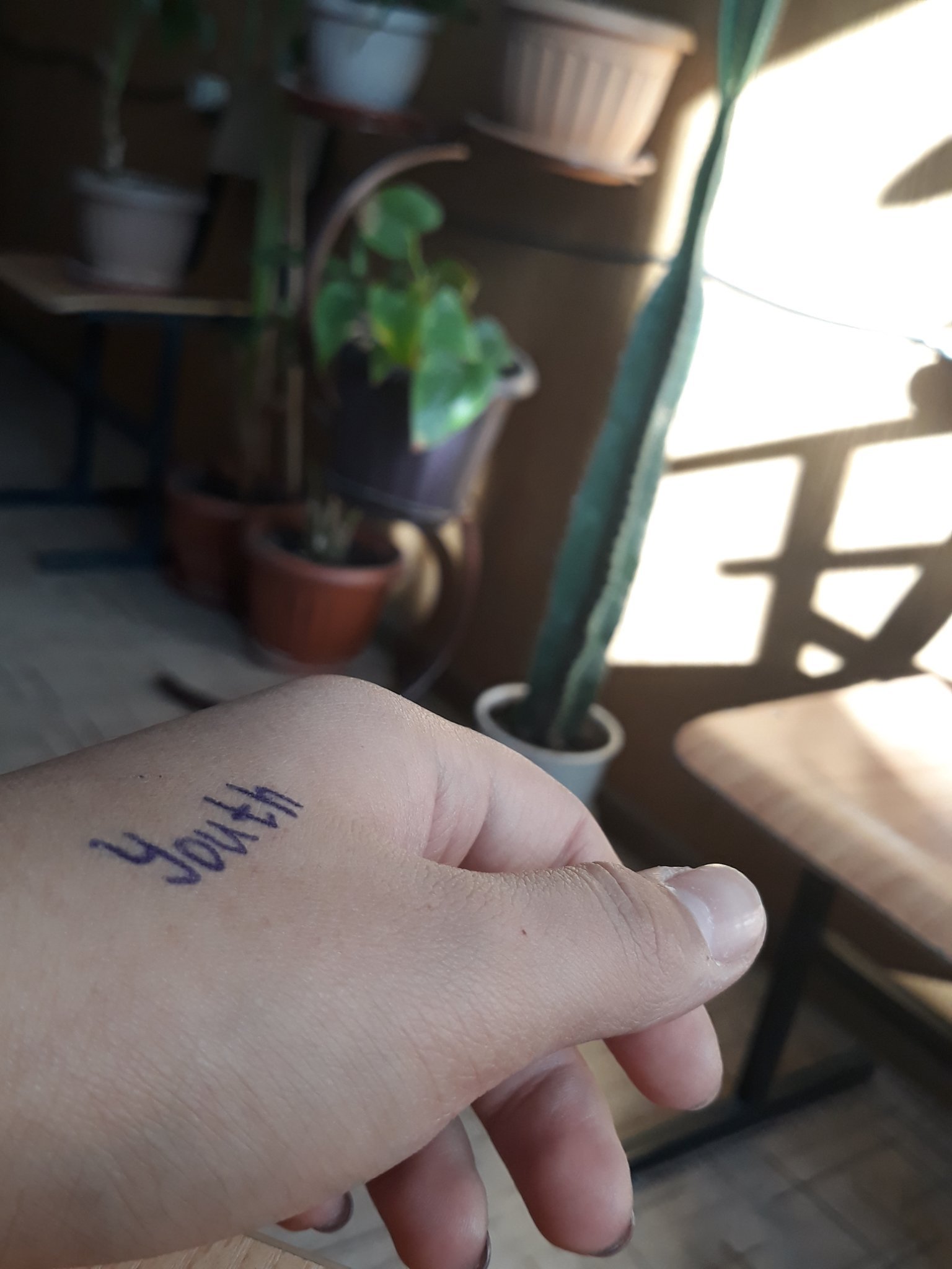 qgrKKGi7HUMHuZ2's profile picture. 