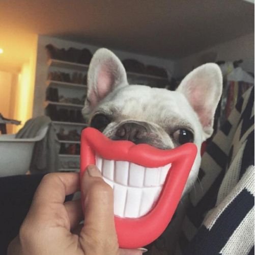 Jack_HotView's profile picture. 学生，爱写代码