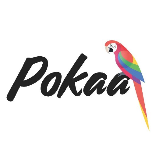 PokaaTeam Profile Picture