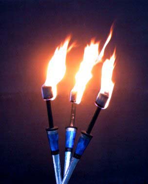 TorchesTogether's profile picture. I am the curdled milk of metaphor.