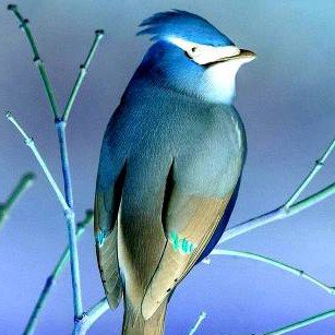 I witnessed fires, witnessed rain, experienced wars, experienced peace & then realized that most humans are nothing but disguised viruses :really sad but true!