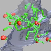 De Camilli Lab (@pdclab) 's Twitter Profile