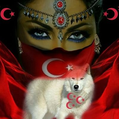seviyorum deme fedakarlık göstermek zorunda kalırsın
sevmiyorum deme zorda kalırsın neyapacagımdersen cevap alamazsın:)