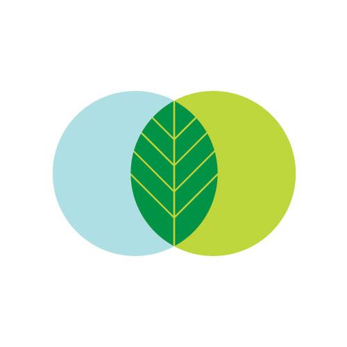 MintCommHawaii's profile picture. Mint Communications is a boutique MKTG and PR firm serving the beautiful state of Hawaii. We focus on strategic, crisp, fresh business communications.