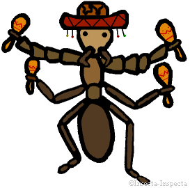 ioT3st's profile picture. Used to be about ants, but now it's not.