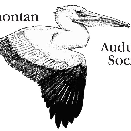 Audubon Society serving Northern Nevada