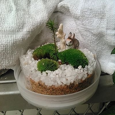 hx5KqZ51QQQbmx8's profile picture. 空、花、苔類、自然好き！九月の雨は最高！キャロウェイのマーベリック手に入れた⛳上手くなーれ😆