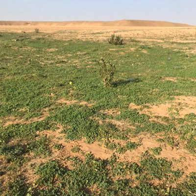 OoE4Jp5mBWowR4o's profile picture. 