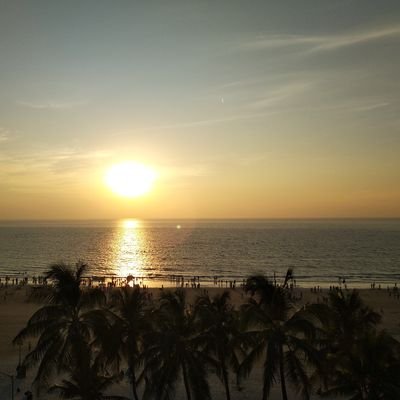 phenax5's profile picture.