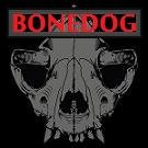 Bonedog81037416 Profile Picture