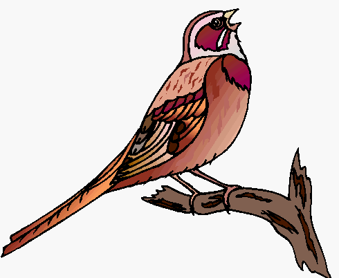 seek_web's profile picture. Internet Addict. Follow me also on Facebook at http://t.co/zBDbxJyono