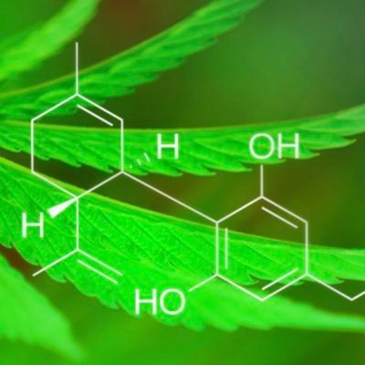 CBD and cannabis product info and education