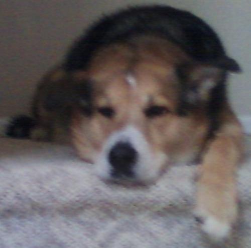 rkolosky's profile picture. Once saw a roly-poly fish head drinking cappuccino with Oriental women in an Italian restaurant