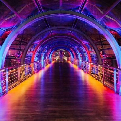 sublight_c3's profile picture. Senior Data Encryption Specialist