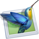wnsoft's profile picture. Photo slideshow software. Output for PC, Mac, DVD & YouTube. Download PicturesToExe Deluxe.