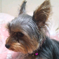 K-house (@fuu_web) 's Twitter Profile