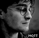 trailertrouxa's profile picture. Fanfic de Harry Potter após a Batalha de Hogwarts: Meu Querido Trailer Trouxa