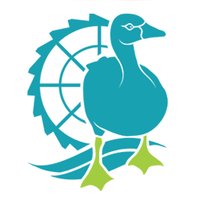GooseyGoo (@gooseygoouk) 's Twitter Profile