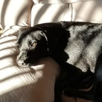 Brandon_2020_'s profile picture. 