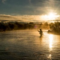 fly_fisherman (@flyfish65043242) 's Twitter Profile