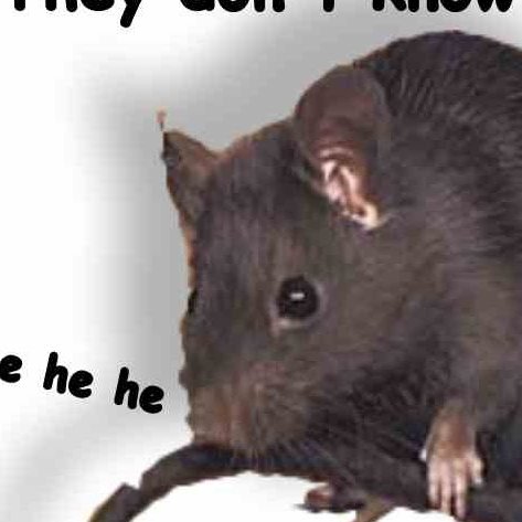 rickicrat's profile picture. interested. not interesting.