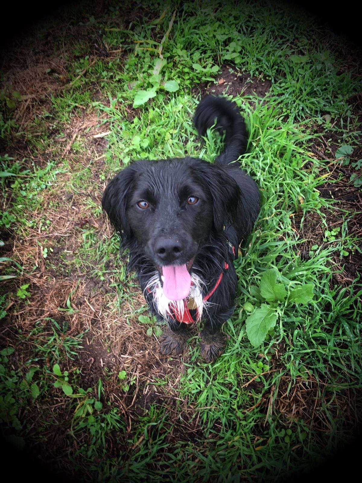 MaxSpanner1's profile picture. Legal/educational professional passionate about all matters relating to SEND - mum to two wonderful boys, one with SEN