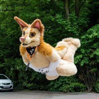 Sotix Shep (@sotixshep) 's Twitter Profile