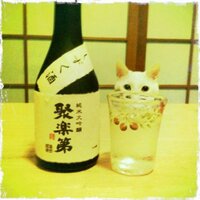 すんｚりヴぇｒ (@sunzriver) Twitter profile photo