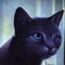 BlueSta66384598's profile picture. Used to be the leader of ThunderClan, Hates Tigerstar (I’m happy that he dead 😄), And yes we do have WiFi and reception in StarClan.