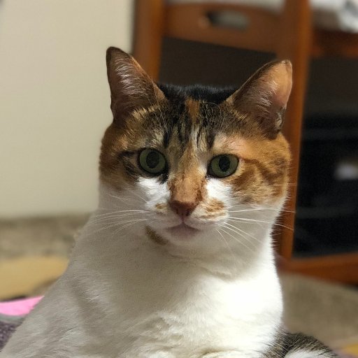 gin_hana's profile picture. 