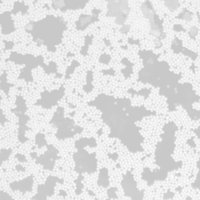 Driscoll Physics Lab (@driscollphysics) 's Twitter Profile Photo Driscoll Physics Lab (@driscollphysics) 's Twitter Profile Photo